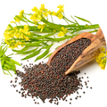 MUSTARD SEEDS