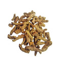 WILD TURMERIC