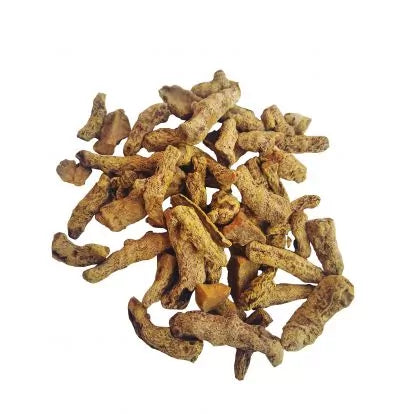 WILD TURMERIC